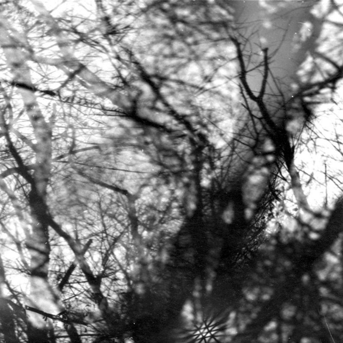 GROUPER - WAY THEIR CREPT