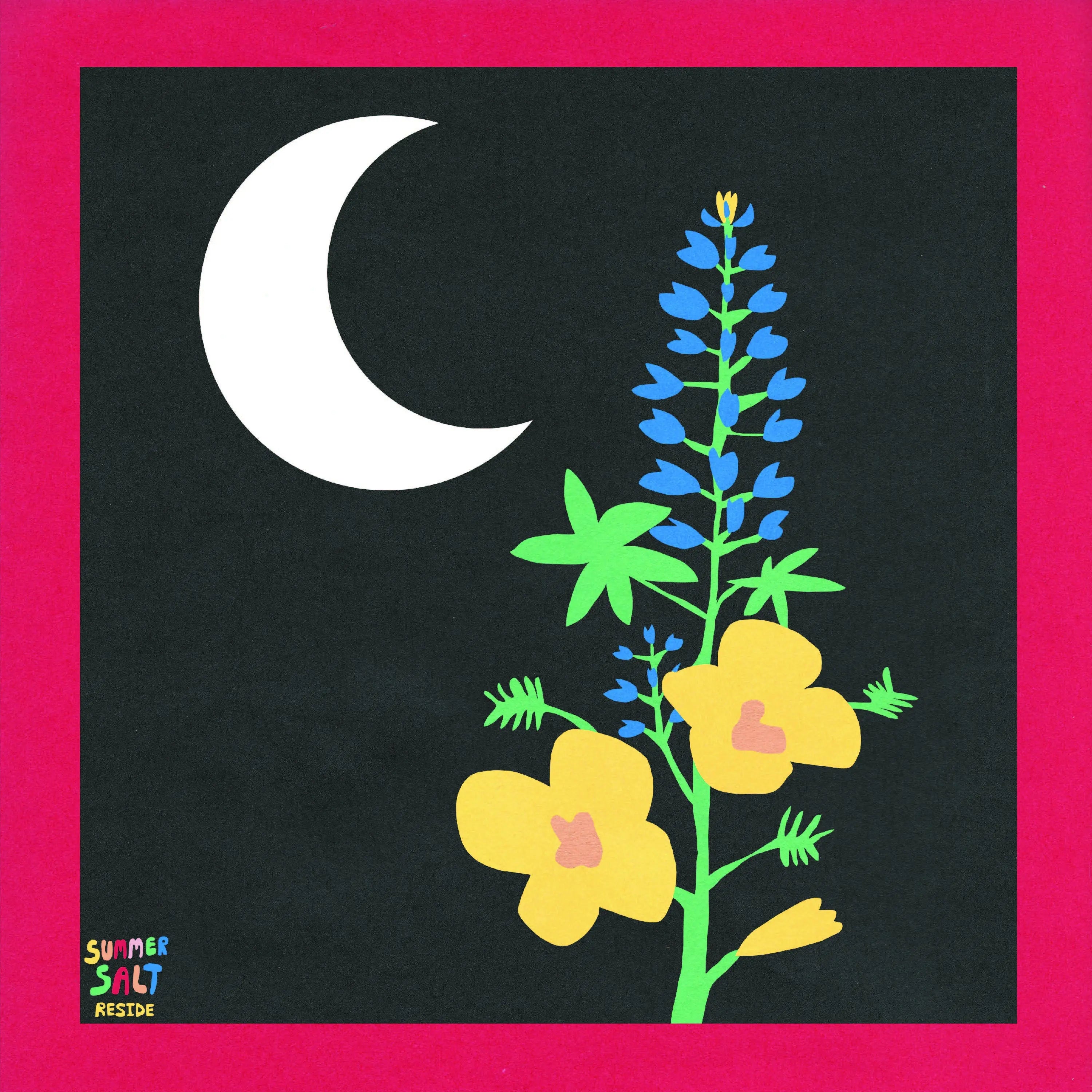 SUMMER SALT - RESIDE